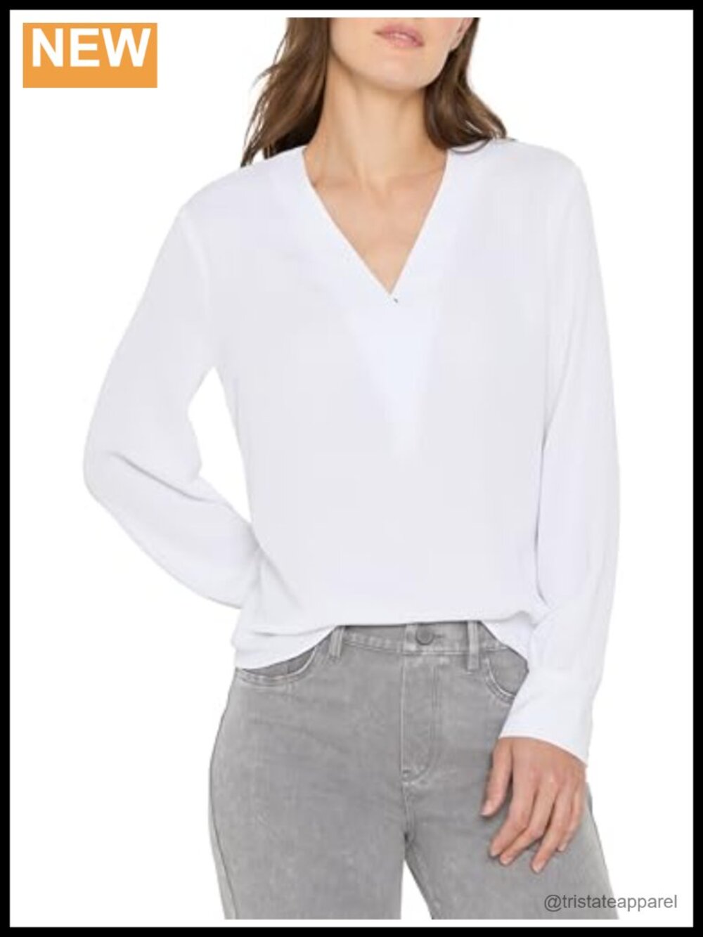 Woven V-Neck Long Sleeve Blouse with Bishop Sleeves